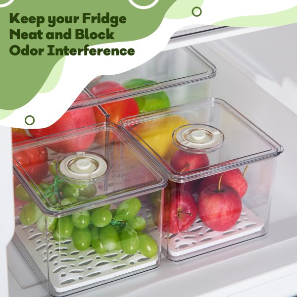 Fruit & Veggie Fresh Keeper Small - Image 3