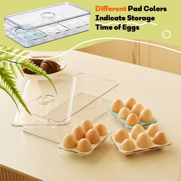 24pcs Egg Bin - Image 3